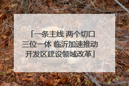一条主线 两个切口 三位一体 临沂加速推动开发区建设领域改革