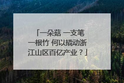 一朵菇 一支笔 一根竹 何以撬动浙江山区百亿产业？