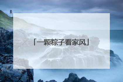 一颗粽子看家风