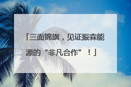 三面锦旗，见证振森能源的“非凡合作”！