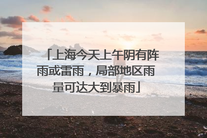 上海今天上午阴有阵雨或雷雨，局部地区雨量可达大到暴雨