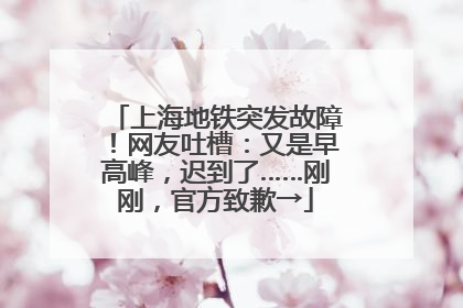 上海地铁突发故障！网友吐槽：又是早高峰，迟到了……刚刚，官方致歉→