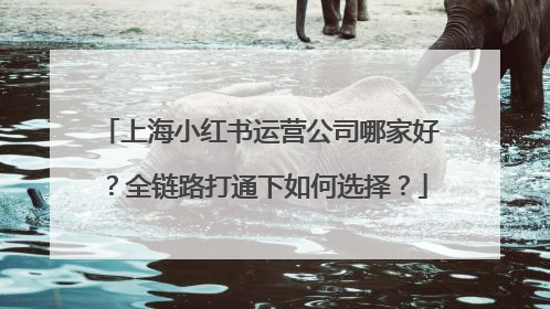 上海小红书运营公司哪家好？全链路打通下如何选择？