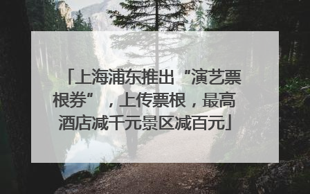 上海浦东推出“演艺票根券”，上传票根，最高酒店减千元景区减百元