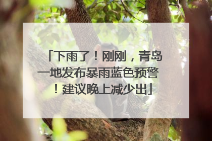 下雨了！刚刚，青岛一地发布暴雨蓝色预警！建议晚上减少出