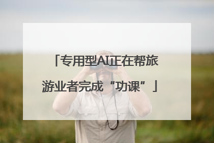 专用型AI正在帮旅游业者完成“功课”