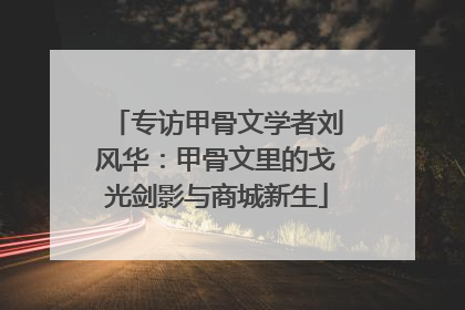 专访甲骨文学者刘风华：甲骨文里的戈光剑影与商城新生