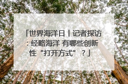 世界海洋日丨记者探访：经略海洋 有哪些创新性“打开方式”？