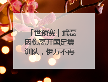 世预赛｜武磊因伤离开国足集训队，伊万不再补招顶替球员