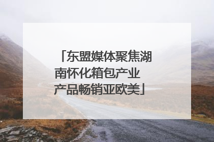东盟媒体聚焦湖南怀化箱包产业 产品畅销亚欧美