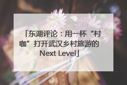 东湖评论：用一杯“村咖”打开武汉乡村旅游的Next Level
