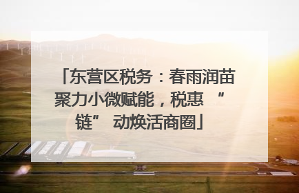 东营区税务：春雨润苗聚力小微赋能，税惠 “链” 动焕活商圈