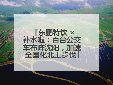 东鹏特饮 × 补水啦：百台公交车布阵沈阳，加速全国化北上步伐