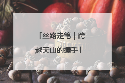 丝路走笔｜跨越天山的握手