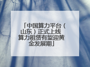 中国算力平台（山东）正式上线 算力租赁有望迎黄金发展期