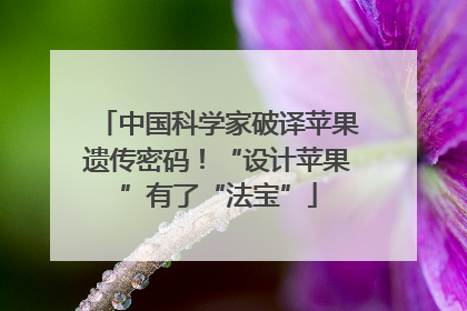 中国科学家破译苹果遗传密码！“设计苹果”有了“法宝”