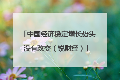中国经济稳定增长势头没有改变（锐财经）