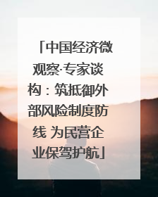 中国经济微观察·专家谈构：筑抵御外部风险制度防线 为民营企业保驾护航