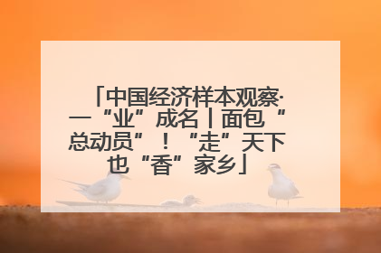 中国经济样本观察·一“业”成名丨面包“总动员”!“走”天下也“香”家乡