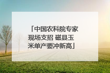 中国农科院专家现场支招 磁县玉米单产要冲新高