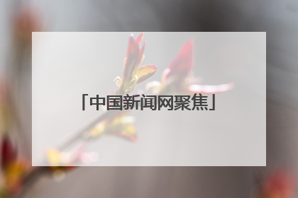 中国新闻网聚焦
