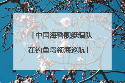 中国海警舰艇编队在钓鱼岛领海巡航