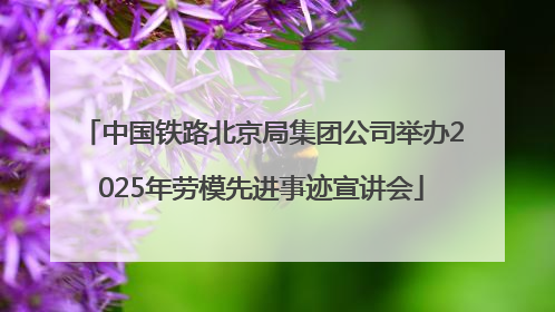中国铁路北京局集团公司举办2025年劳模先进事迹宣讲会