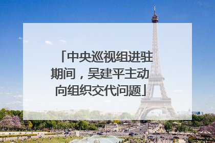 中央巡视组进驻期间，吴建平主动向组织交代问题