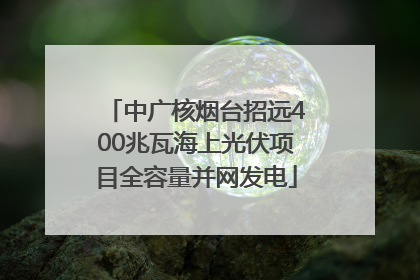 中广核烟台招远400兆瓦海上光伏项目全容量并网发电