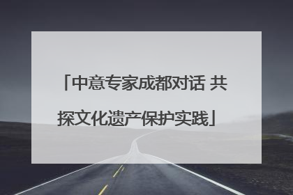中意专家成都对话 共探文化遗产保护实践
