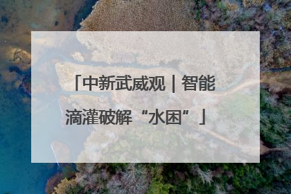中新武威观｜智能滴灌破解“水困”
