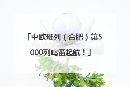 中欧班列（合肥）第5000列鸣笛起航！