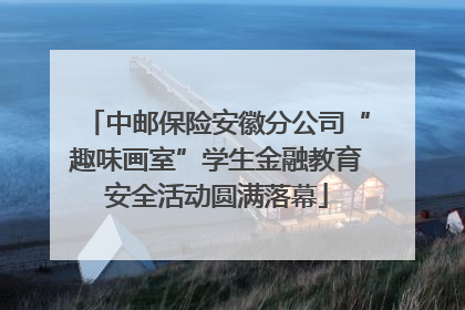 中邮保险安徽分公司“趣味画室”学生金融教育安全活动圆满落幕