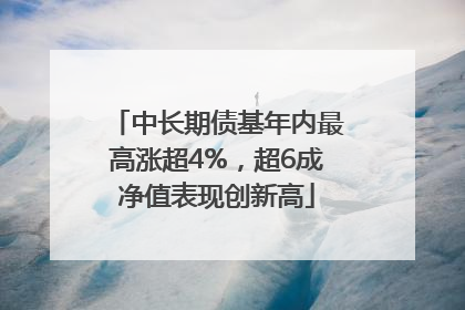 中长期债基年内最高涨超4%，超6成净值表现创新高