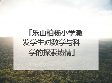 乐山柏杨小学激发学生对数学与科学的探索热情