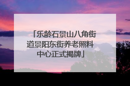 乐龄石景山八角街道景阳东街养老照料中心正式揭牌