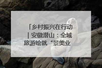 乡村振兴在行动｜安徽潜山：全域旅游绘就“景美业兴民富”新画卷