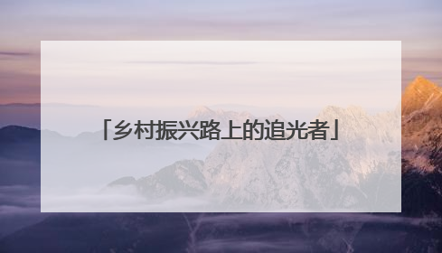 乡村振兴路上的追光者