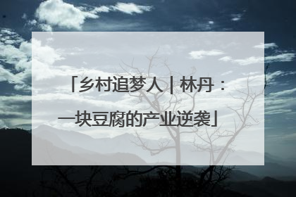 乡村追梦人｜林丹：一块豆腐的产业逆袭