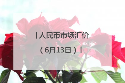 人民币市场汇价（6月13日）