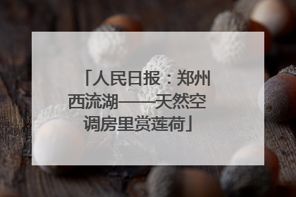 人民日报：郑州西流湖——天然空调房里赏莲荷