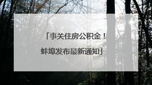 事关住房公积金！蚌埠发布最新通知