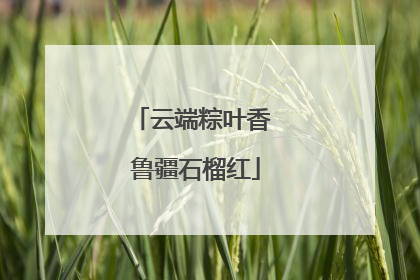 云端粽叶香 鲁疆石榴红
