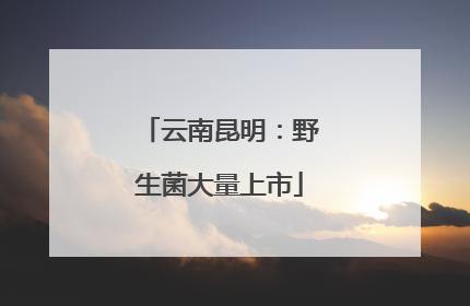 云南昆明：野生菌大量上市