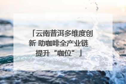 云南普洱多维度创新 助咖啡全产业链提升“咖位”