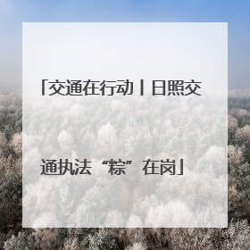 交通在行动丨日照交通执法“粽”在岗