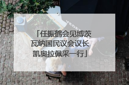 任振鹤会见博茨瓦纳国民议会议长凯奥拉佩采一行