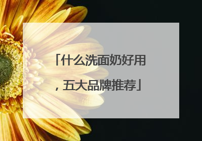 什么洗面奶好用，五大品牌推荐