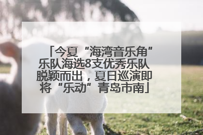 今夏“海湾音乐角”乐队海选8支优秀乐队脱颖而出，夏日巡演即将“乐动”青岛市南