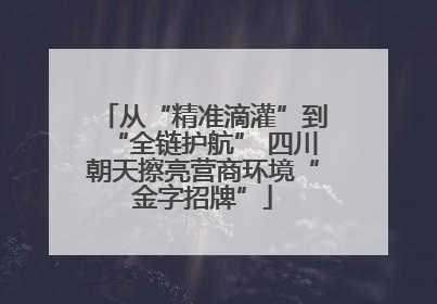从“精准滴灌”到“全链护航” 四川朝天擦亮营商环境“金字招牌”